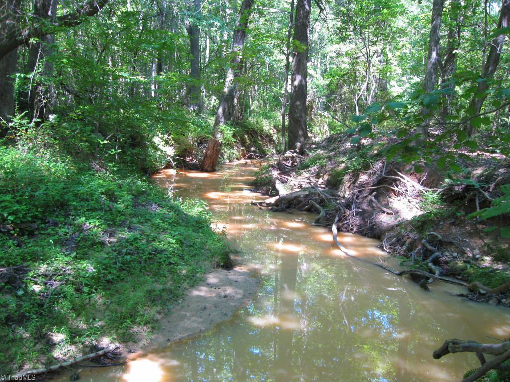 10.02-ac Worsham Mill Road Ruffin, NC 27326 - Photo 15 of 21
