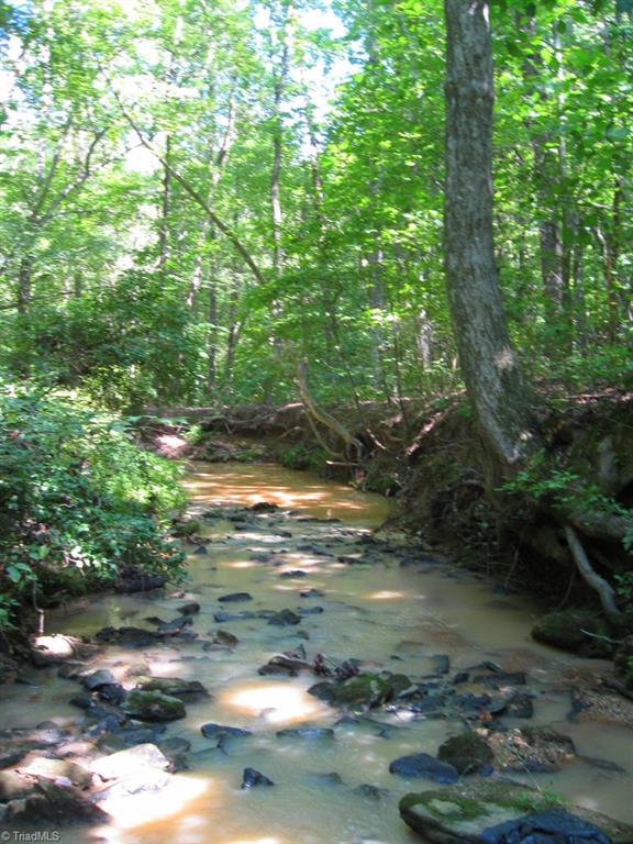 10.02-ac Worsham Mill Road Ruffin, NC 27326 - Photo 16 of 21