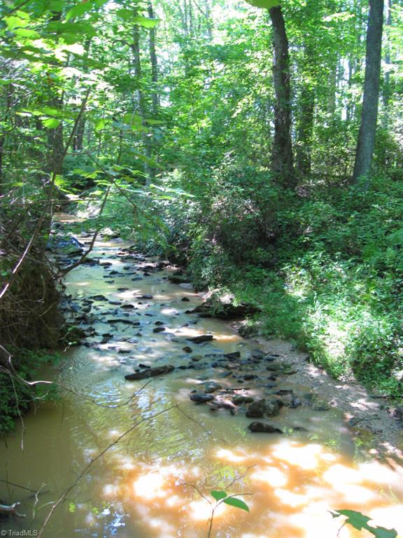 10.02-ac Worsham Mill Road Ruffin, NC 27326 - Photo 17 of 21