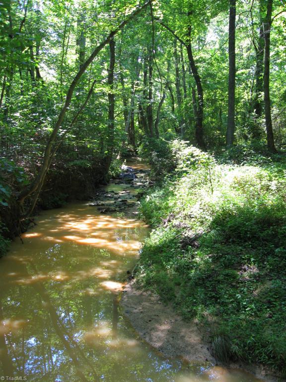 10.02-ac Worsham Mill Road Ruffin, NC 27326 - Photo 18 of 21