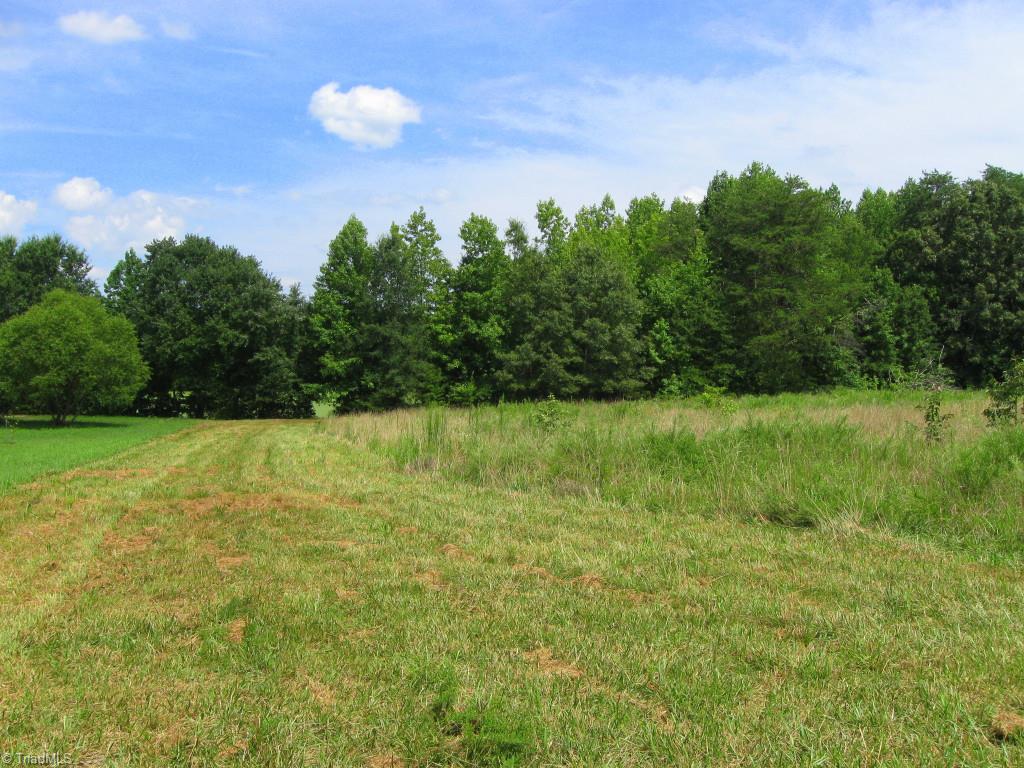 10.02-ac Worsham Mill Road Ruffin, NC 27326 - Photo 19 of 21