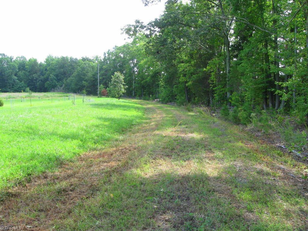 10.02-ac Worsham Mill Road Ruffin, NC 27326 - Photo 3 of 21