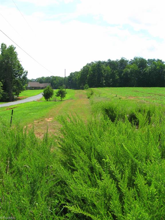 10.02-ac Worsham Mill Road Ruffin, NC 27326 - Photo 21 of 21