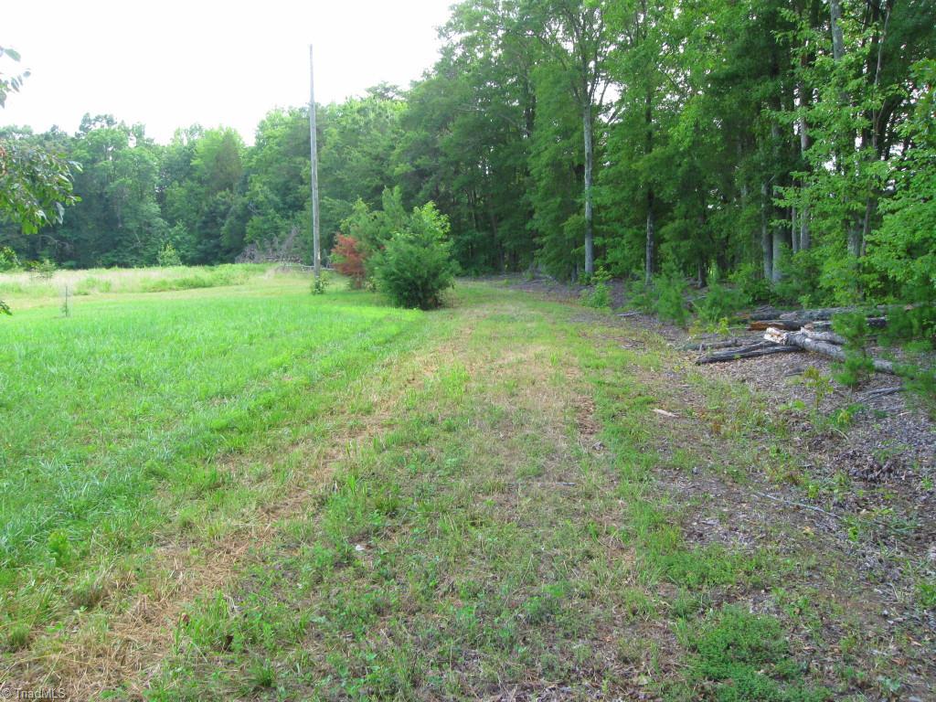 10.02-ac Worsham Mill Road Ruffin, NC 27326 - Photo 4 of 21