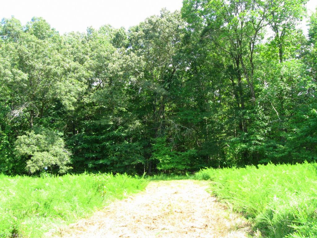 10.02-ac Worsham Mill Road Ruffin, NC 27326 - Photo 5 of 21