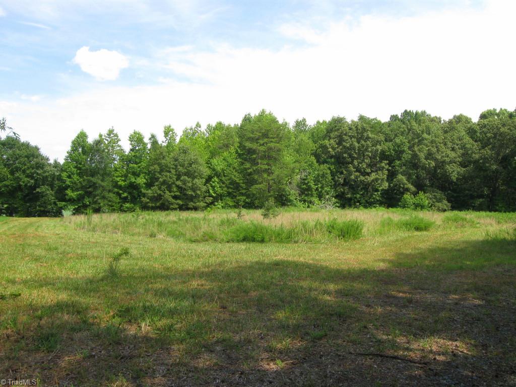 10.02-ac Worsham Mill Road Ruffin, NC 27326 - Photo 6 of 21