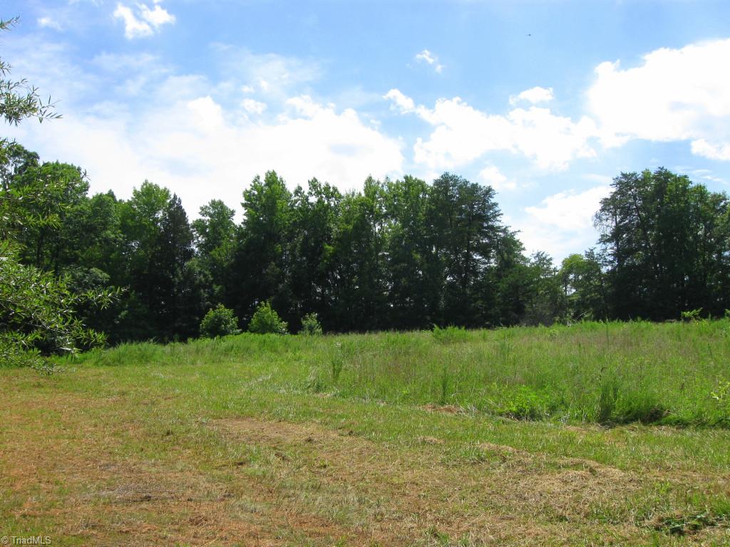 10.02-ac Worsham Mill Road Ruffin, NC 27326 - Photo 7 of 21