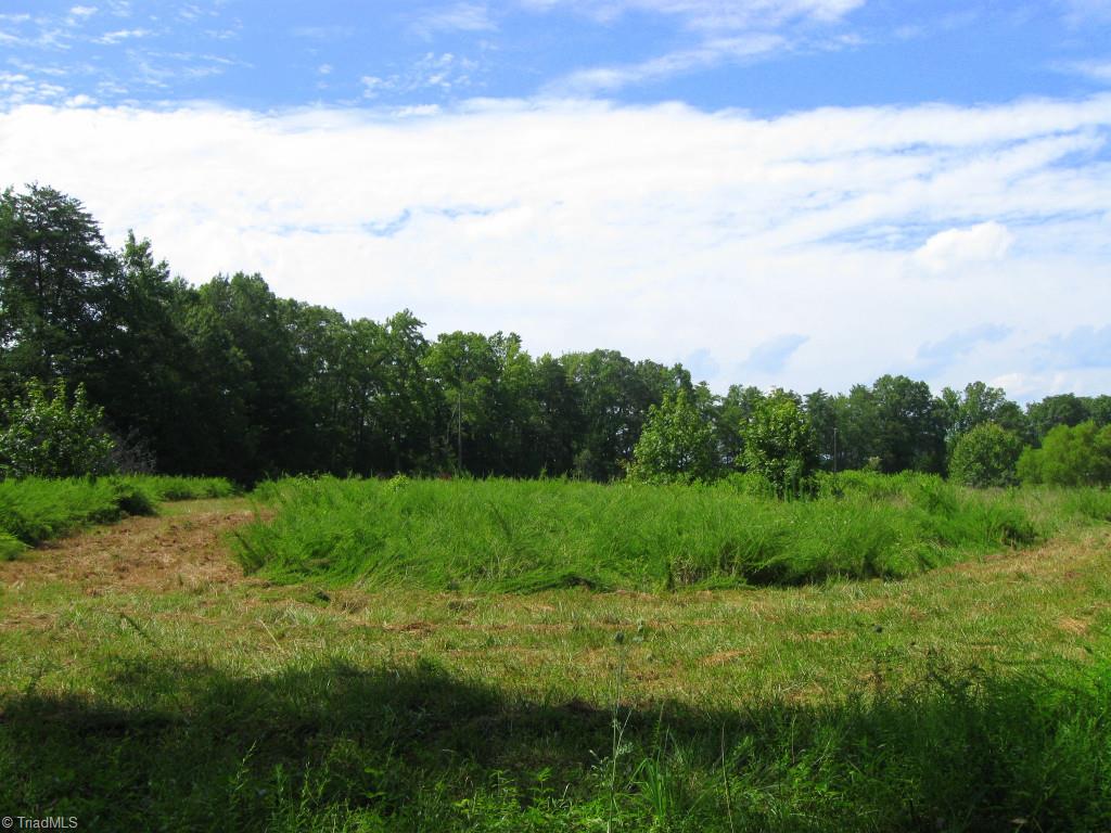 10.02-ac Worsham Mill Road Ruffin, NC 27326 - Photo 8 of 21