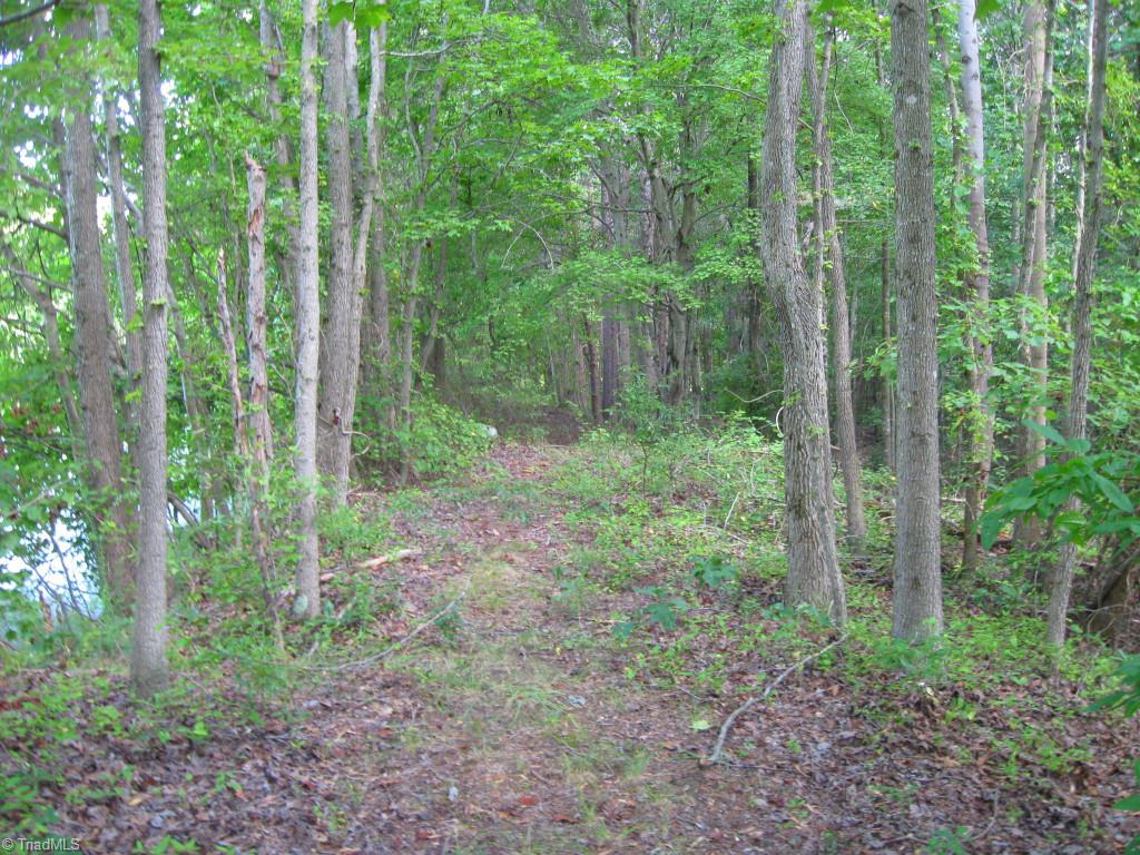 10.02-ac Worsham Mill Road Ruffin, NC 27326 - Photo 10 of 21