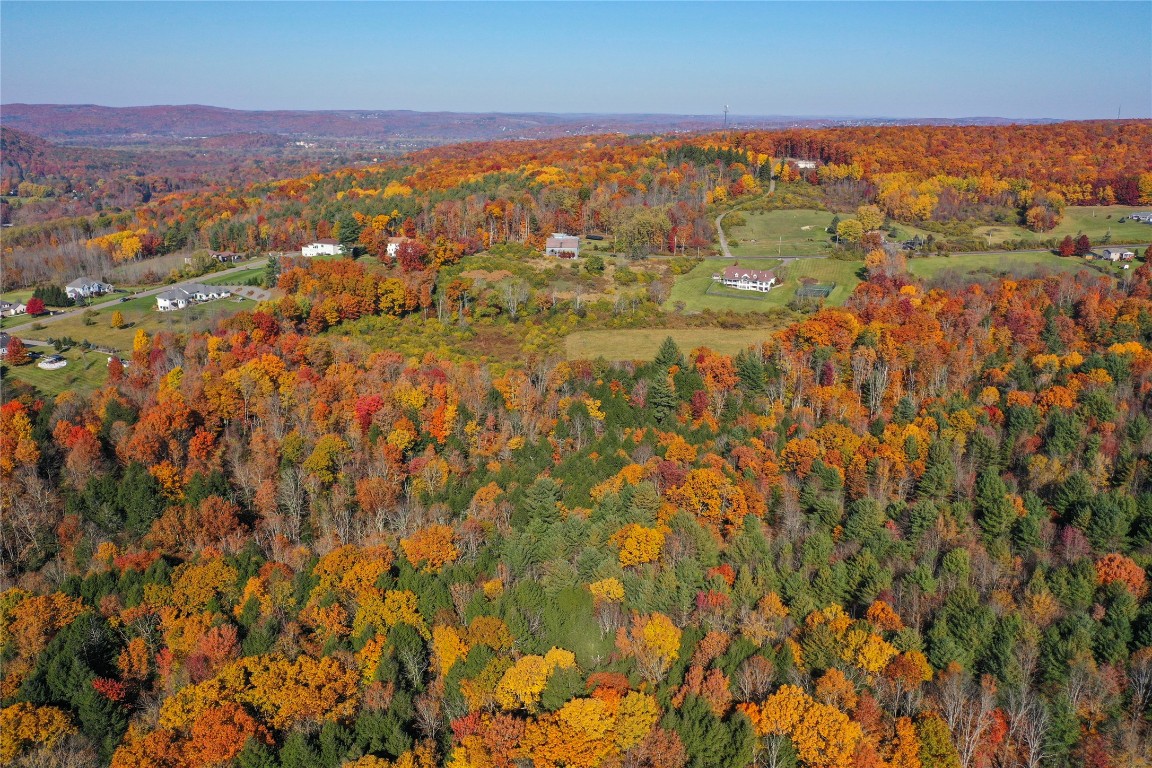 96 Foster Road Vestal, NY 13850 - Photo 12 of 28 Gallery Image 12