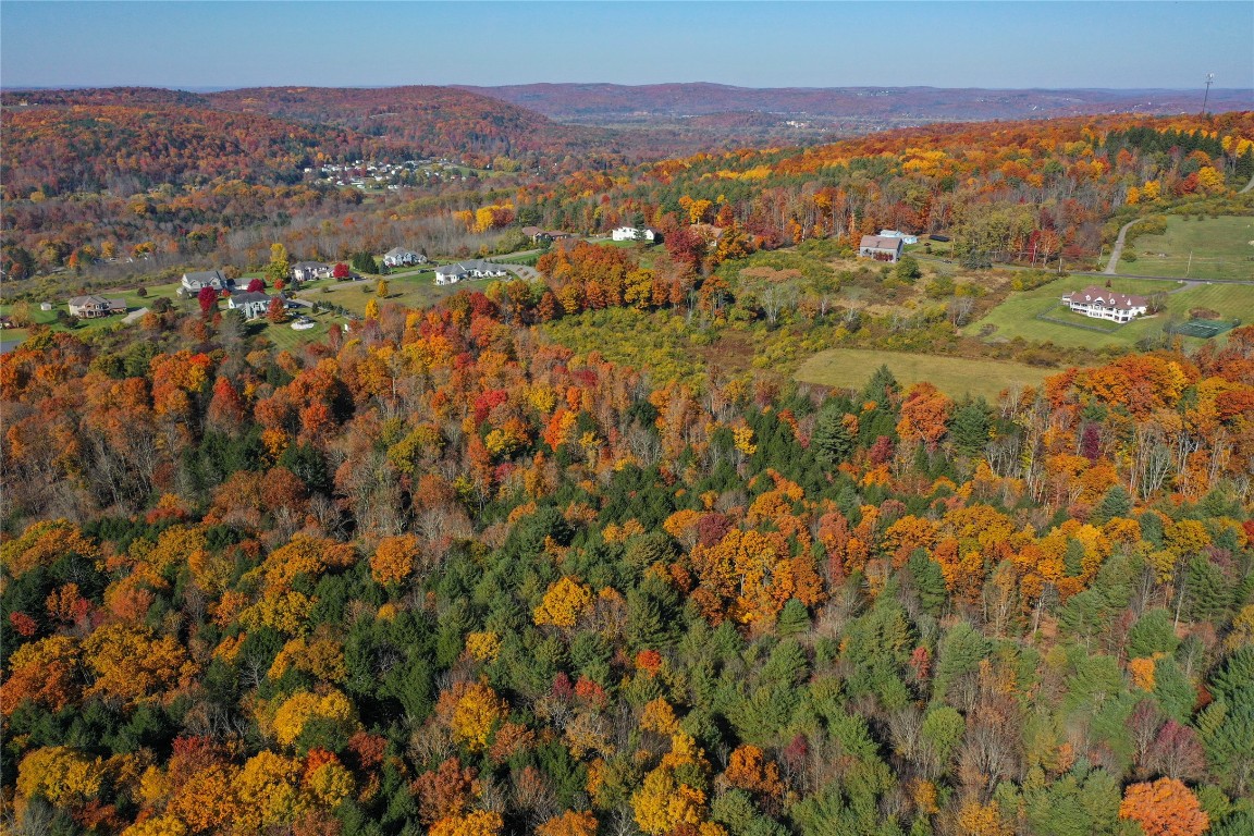 96 Foster Road Vestal, NY 13850 - Photo 13 of 28 Gallery Image 13