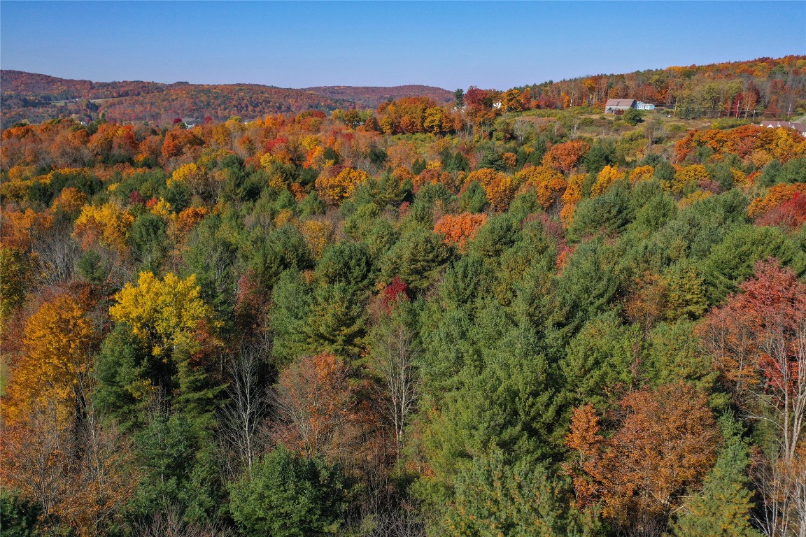 96 Foster Road Vestal, NY 13850 - Photo 14 of 28 Gallery Image 14