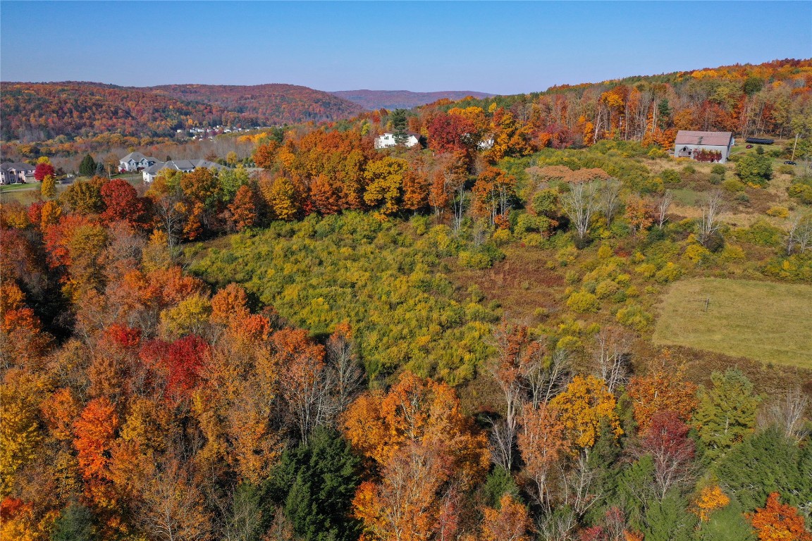 96 Foster Road Vestal, NY 13850 - Photo 15 of 28 Gallery Image 15