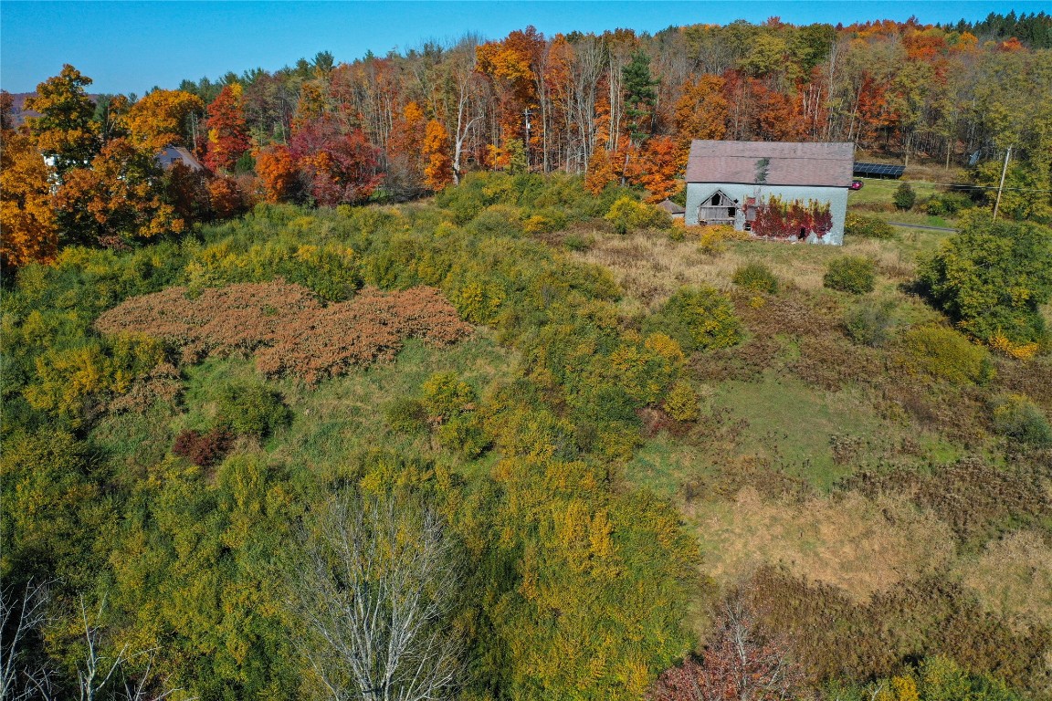 96 Foster Road Vestal, NY 13850 - Photo 17 of 28 Gallery Image 17