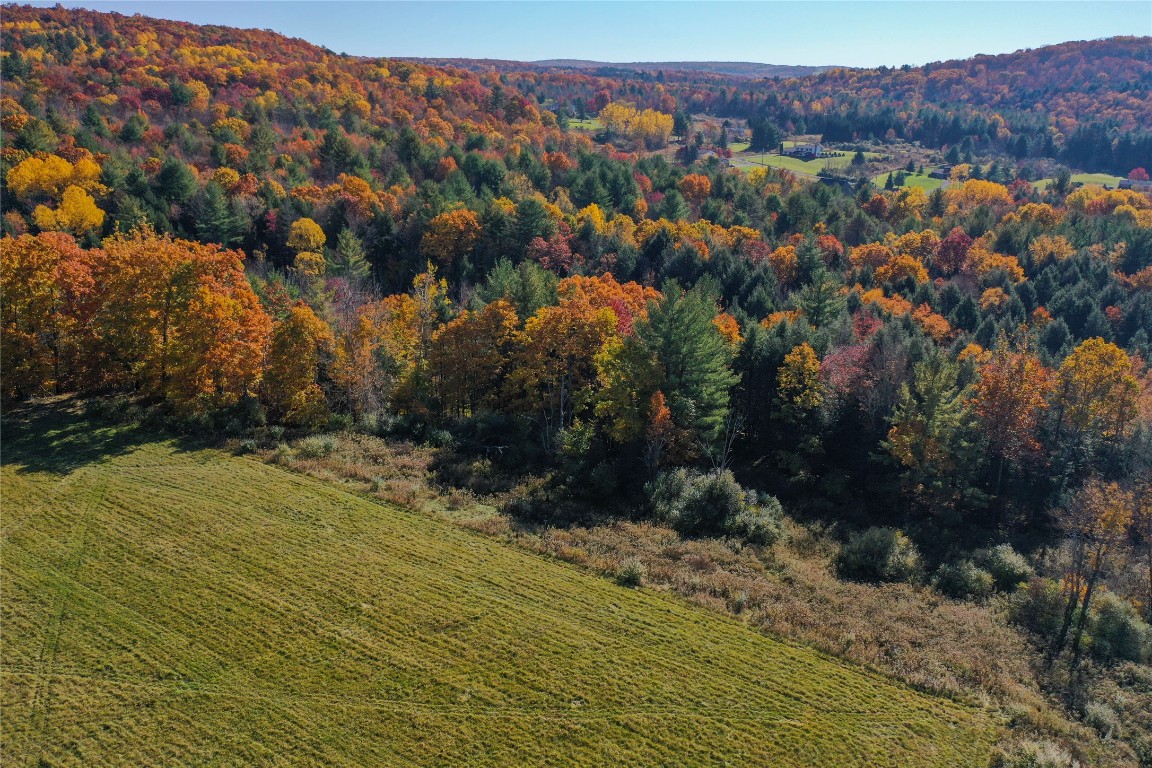 96 Foster Road Vestal, NY 13850 - Photo 20 of 28 Gallery Image 20