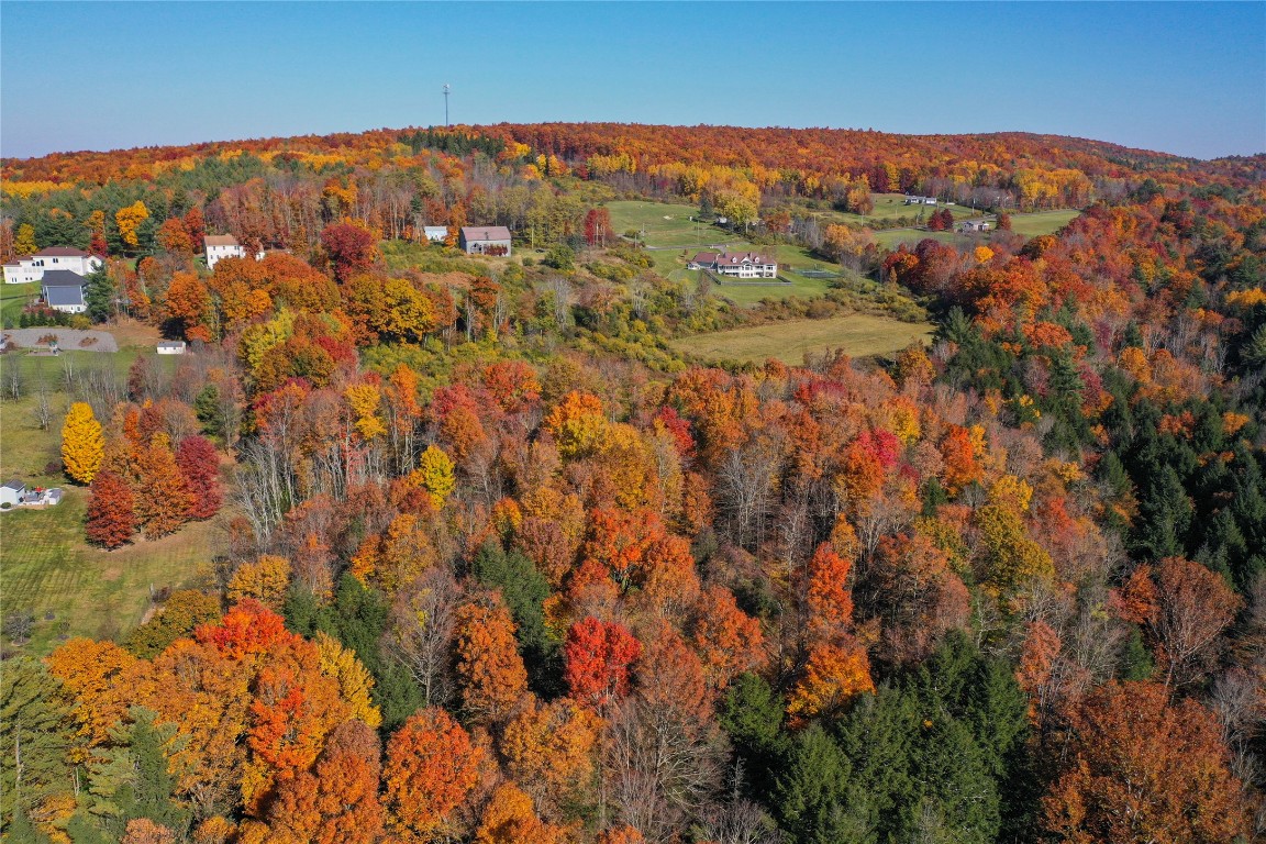 96 Foster Road Vestal, NY 13850 - Photo 21 of 28 Gallery Image 21