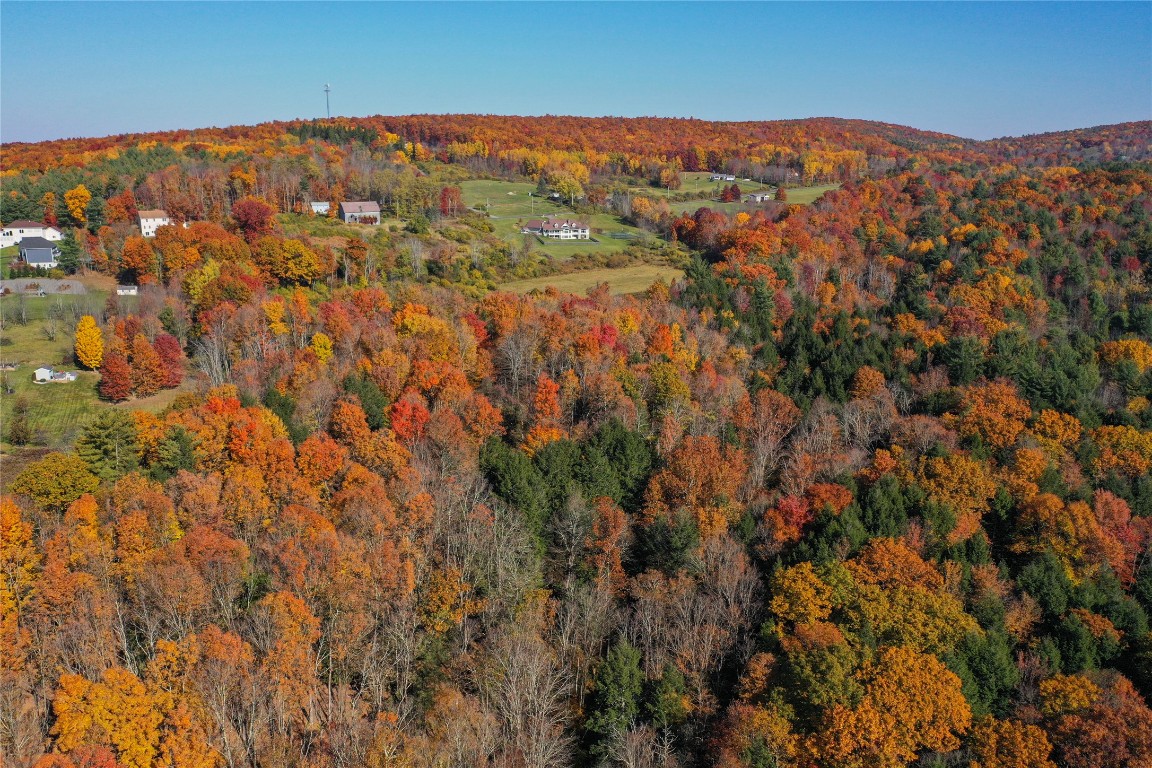 96 Foster Road Vestal, NY 13850 - Photo 22 of 28 Gallery Image 22