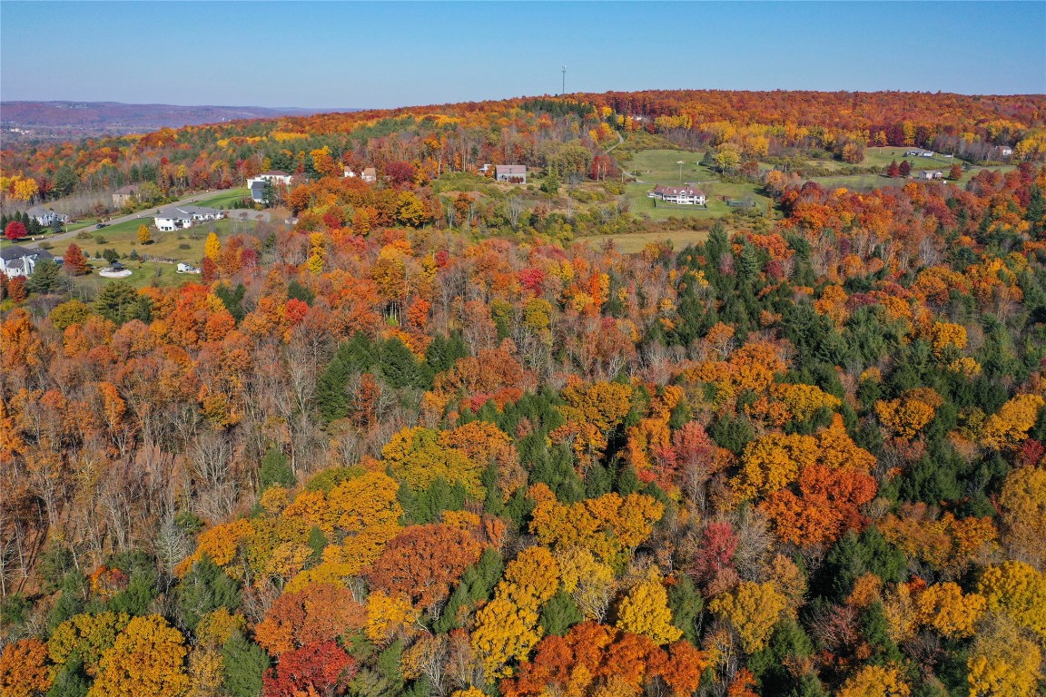 96 Foster Road Vestal, NY 13850 - Photo 23 of 28 Gallery Image 23