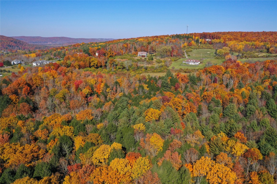 96 Foster Road Vestal, NY 13850 - Photo 24 of 28 Gallery Image 24