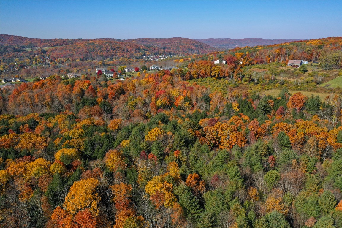 96 Foster Road Vestal, NY 13850 - Photo 25 of 28 Gallery Image 25