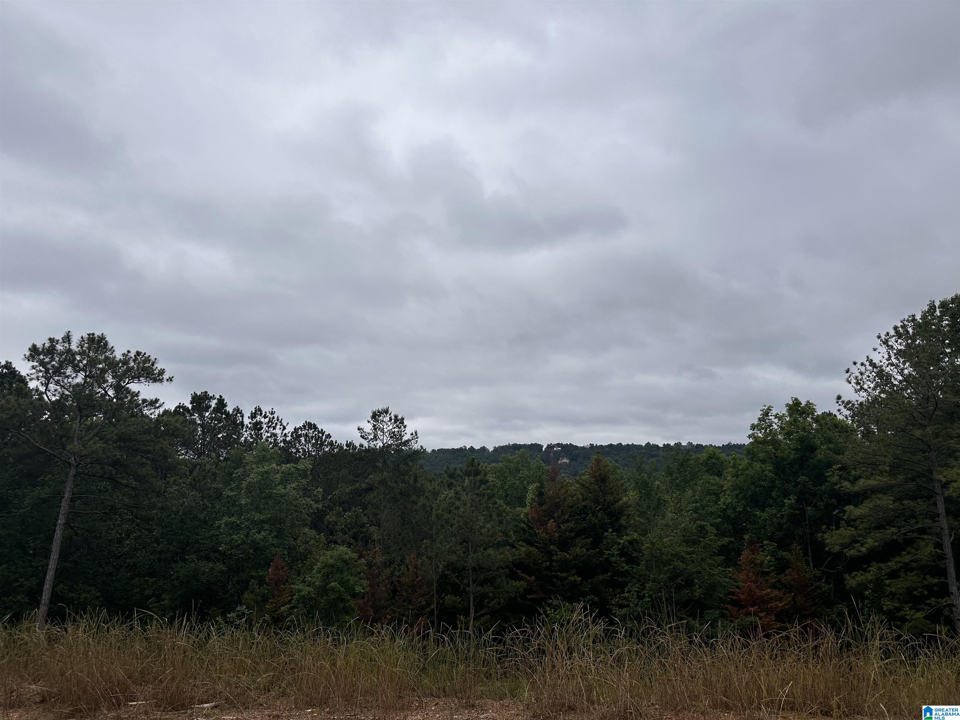 5013 Simms Landing Pelham, AL 35124 - Photo 12 of 27