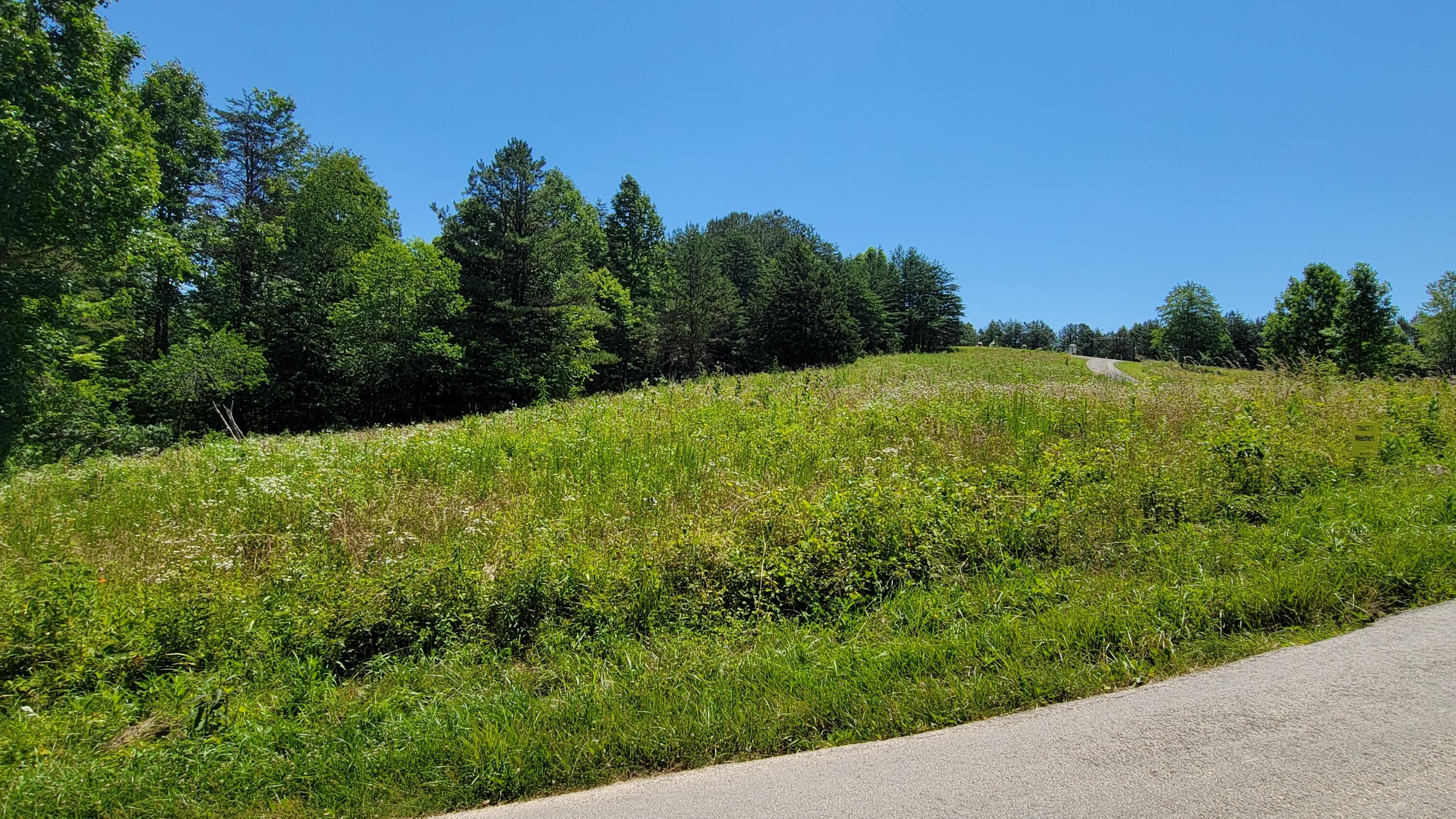 3801 Hazel Patch Road East Bernstadt, KY 40729 - Photo 2 of 4 Elk mtn tr 7 2