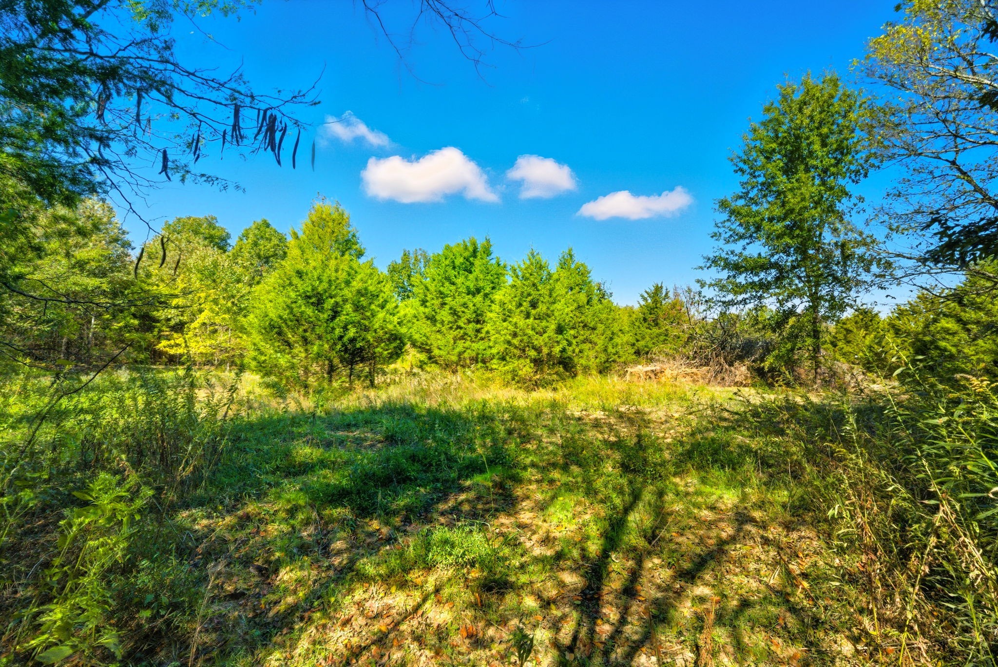 795 White Road Portland, TN 37148 - Photo 12 of 13