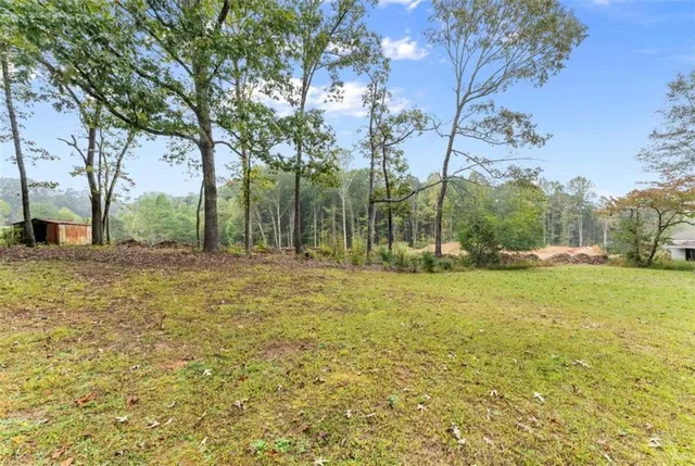 a view of backyard with tree and green space