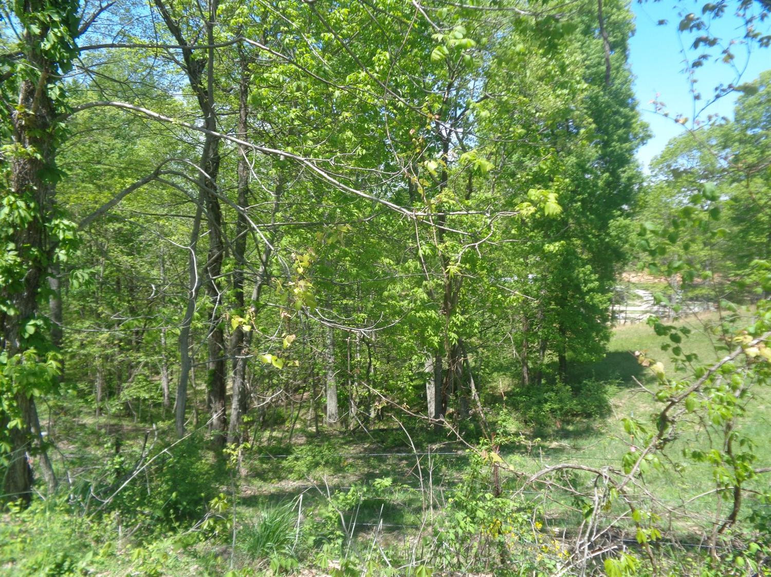 4300 Slate Lick Road London, KY 40741 - Photo 17 of 18 Listing Photo