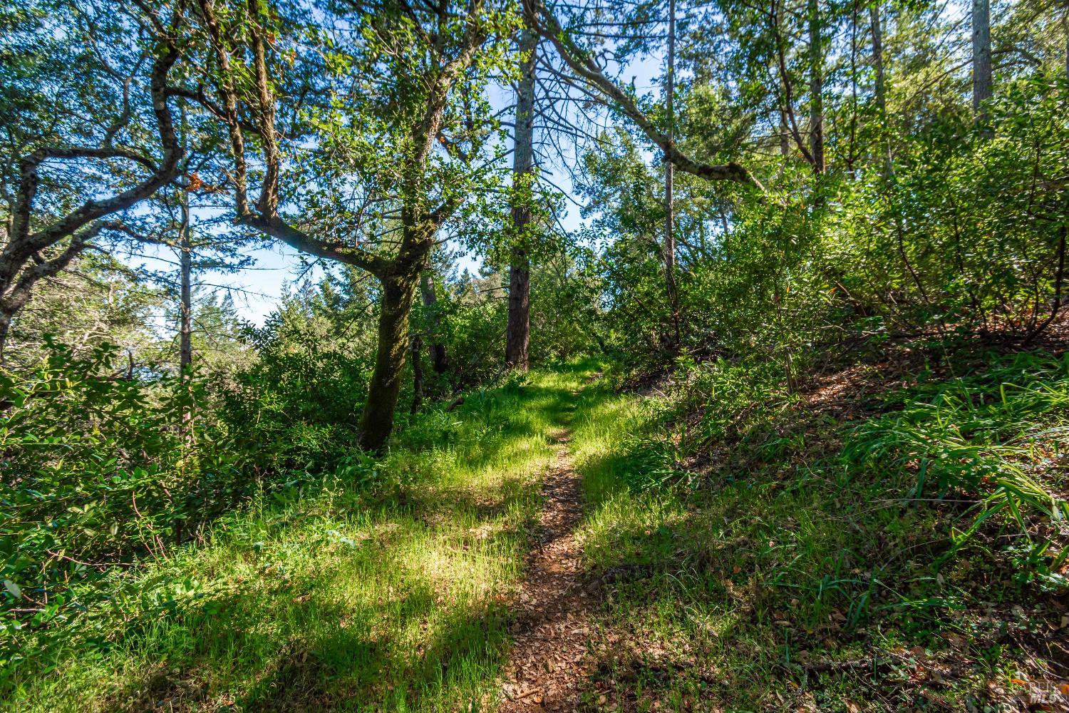 0 Dry Creek Road Napa, CA 94558 - Photo 73 of 98