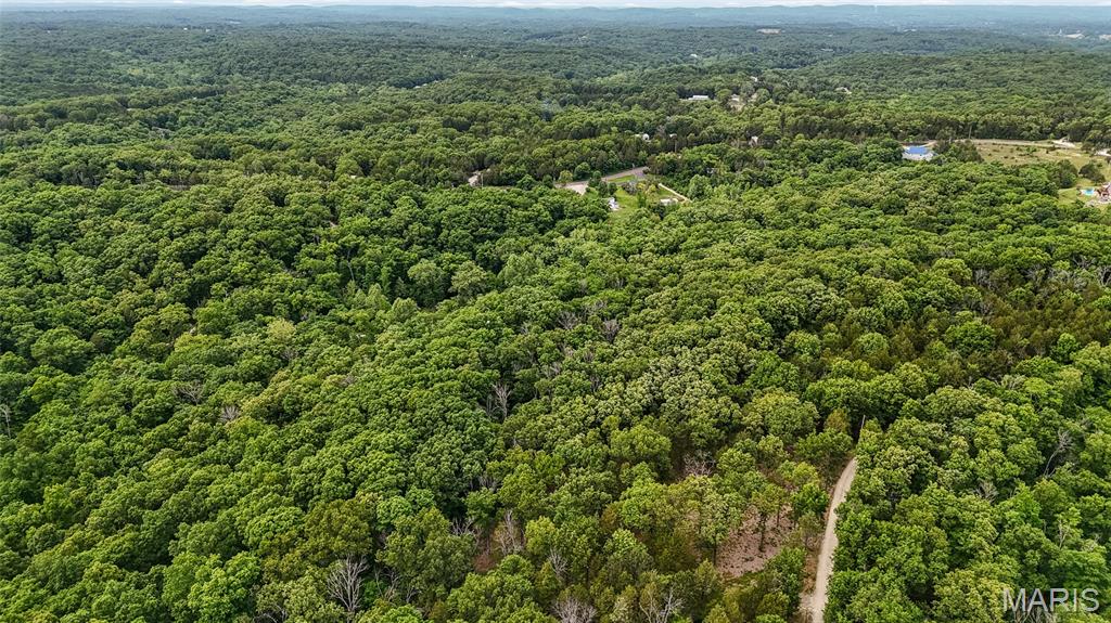299 Whitetail Ridge Dittmer, MO 63023 - Photo 12 of 19