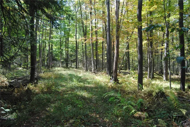 $270,000 | 0 Route 6 Hamlin Pa, Lewis Run, PA 16738