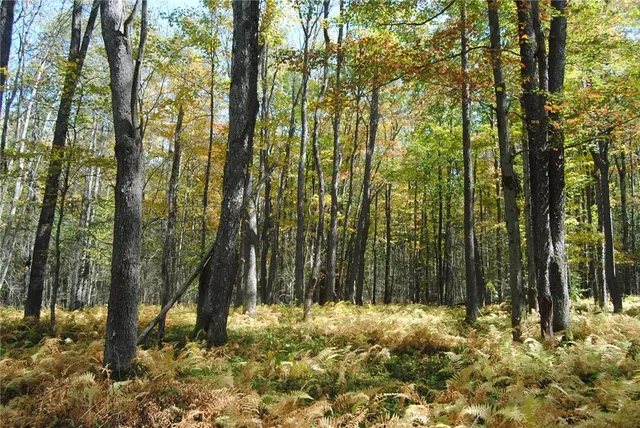 $270,000 | 0 Route 6 Hamlin Pa, Lewis Run, PA 16738