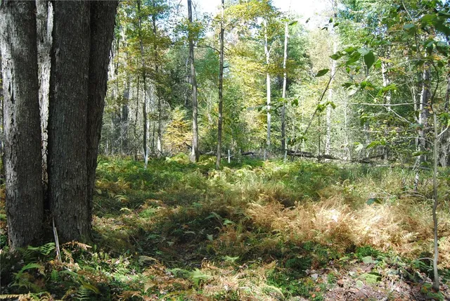 $270,000 | 0 Route 6 Hamlin Pa, Lewis Run, PA 16738