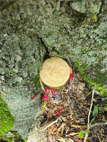 $270,000 | 0 Route 6 Hamlin Pa, Lewis Run, PA 16738