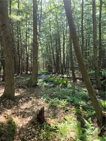 $270,000 | 0 Route 6 Hamlin Pa, Lewis Run, PA 16738