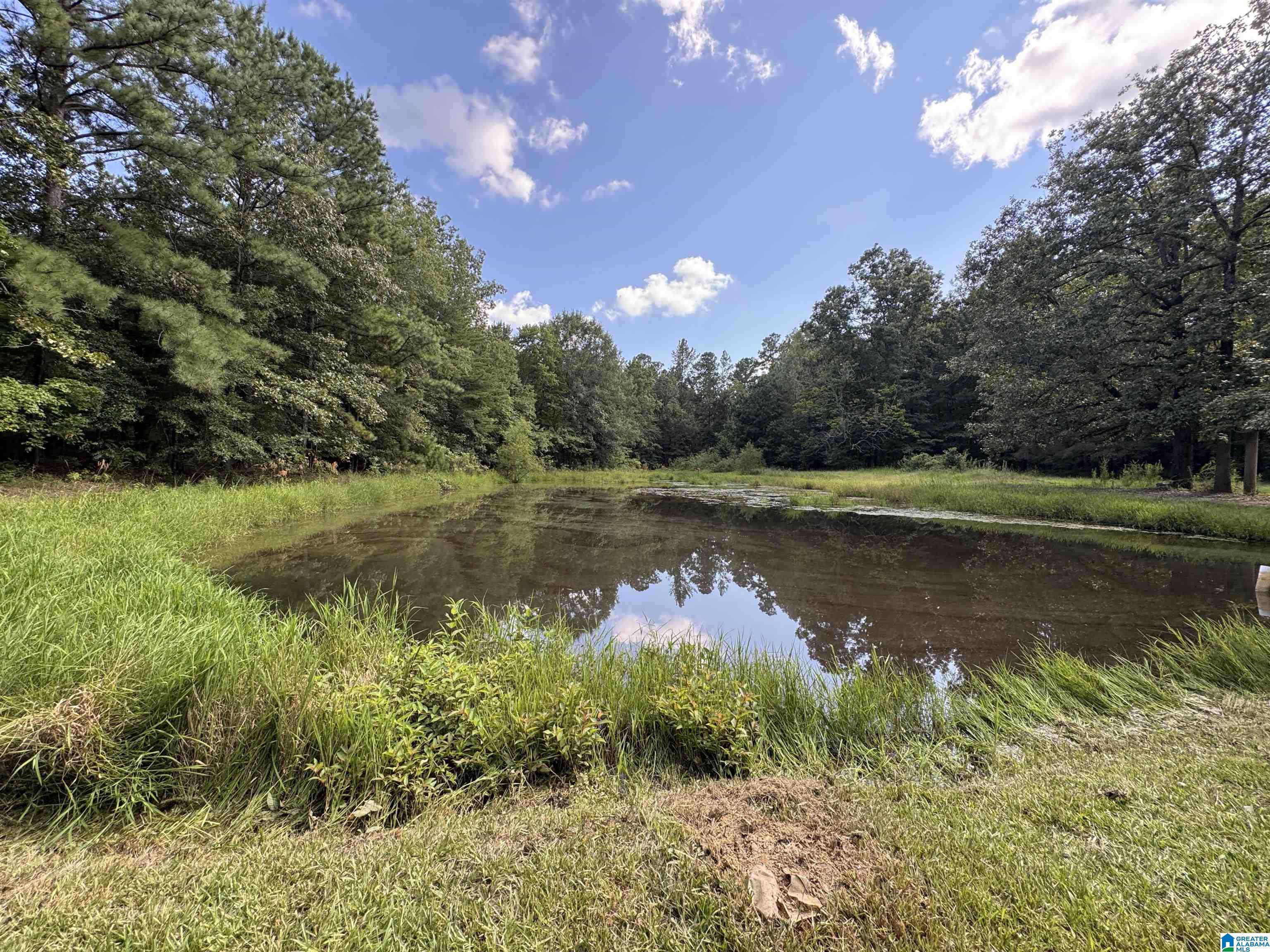 20394 County Road 55 Sterrett, AL 35147 - Photo 2 of 43