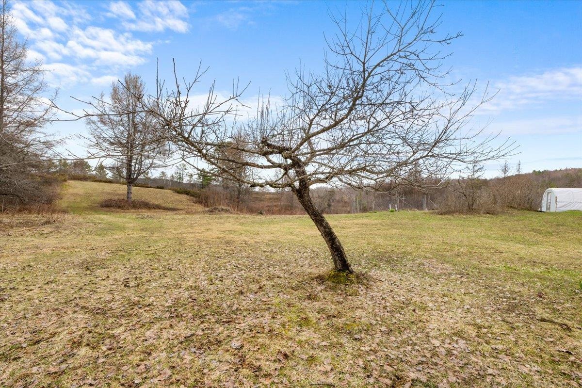 142 King Pond Road Woodbury, VT 05650 - Photo 29 of 60