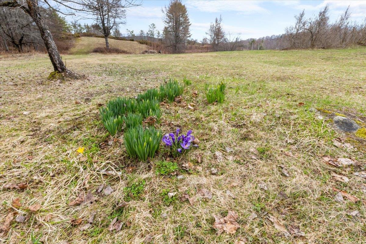 142 King Pond Road Woodbury, VT 05650 - Photo 30 of 60