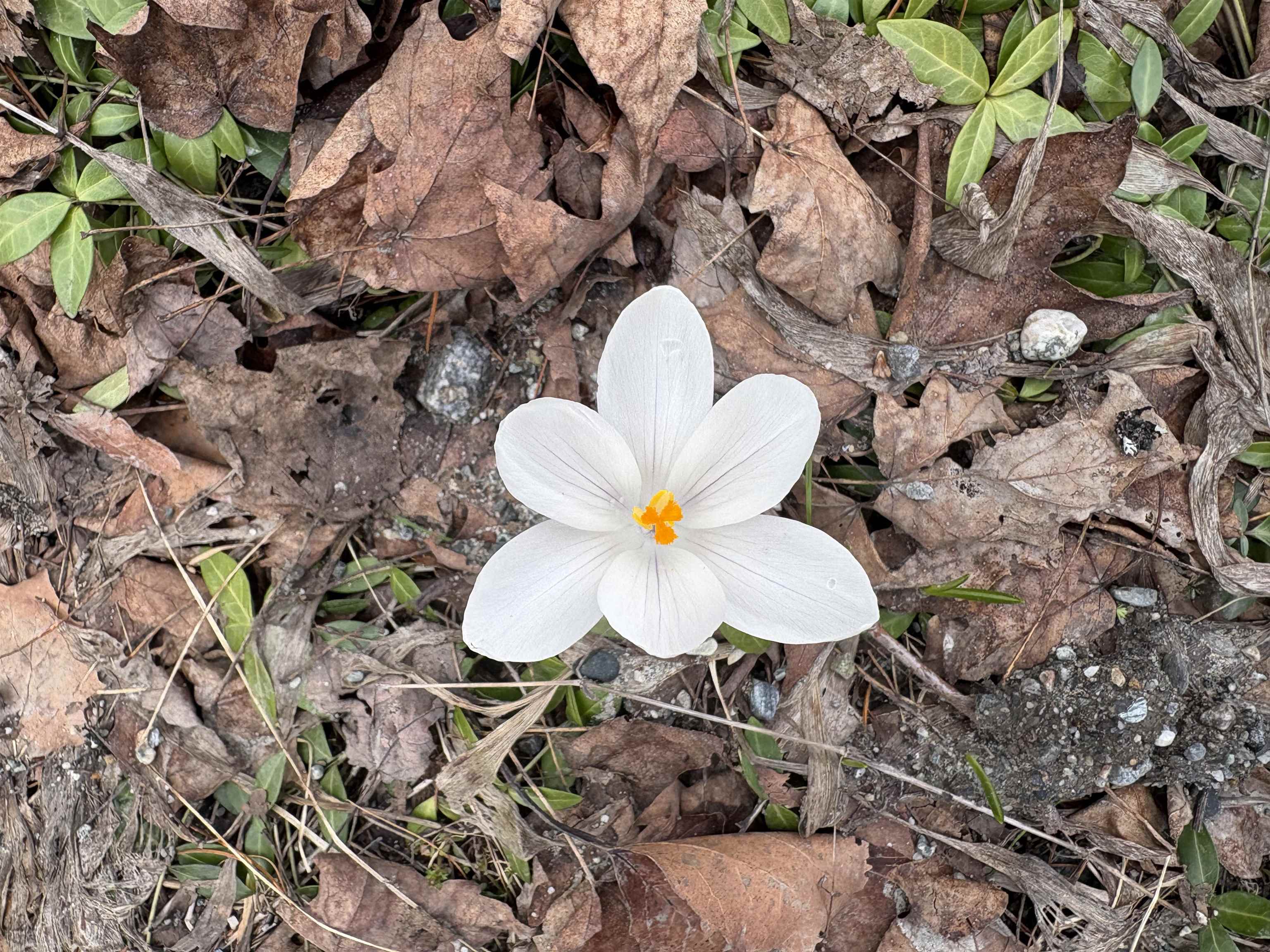 142 King Pond Road Woodbury, VT 05650 - Photo 50 of 60