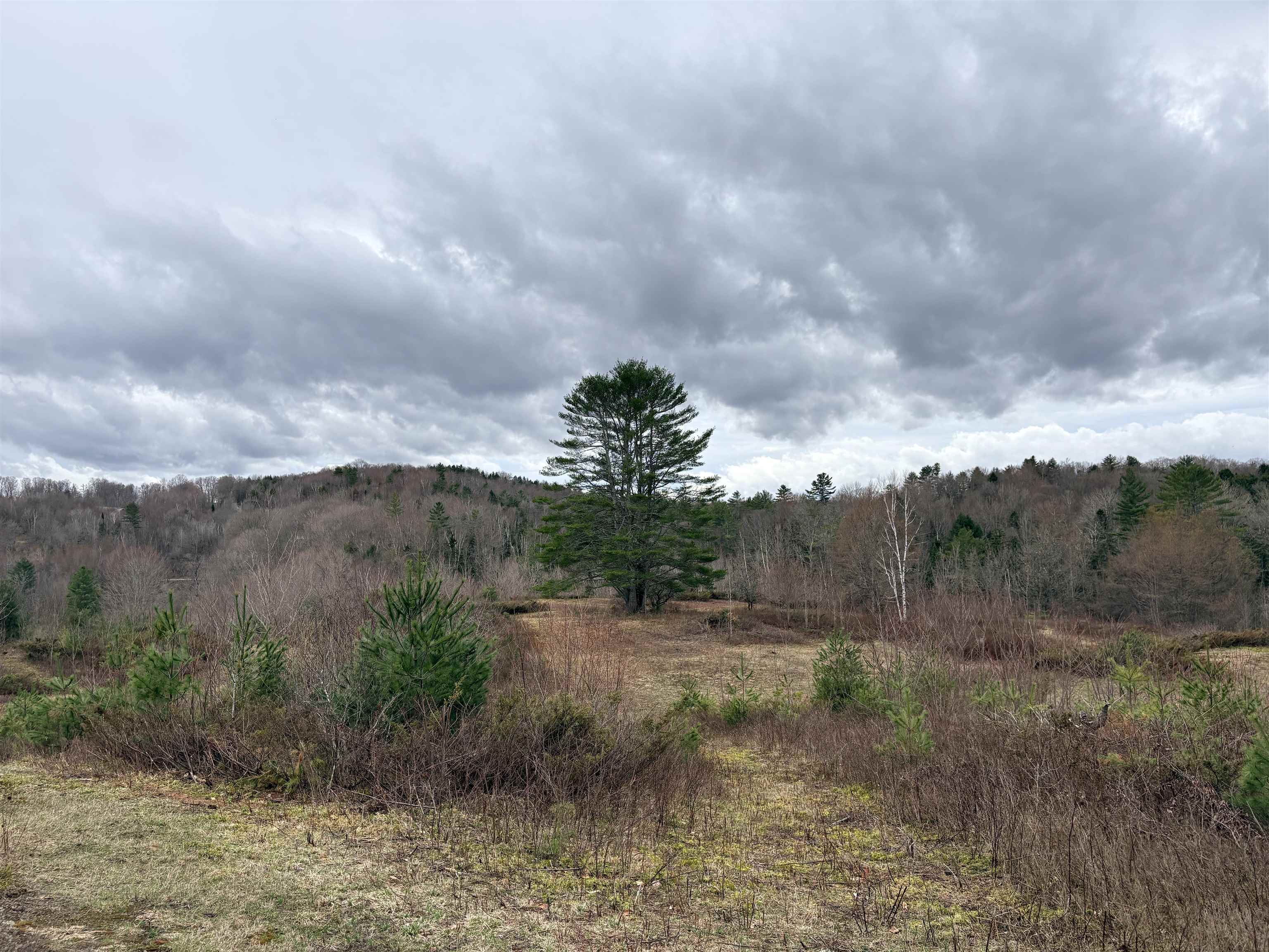 142 King Pond Road Woodbury, VT 05650 - Photo 56 of 60