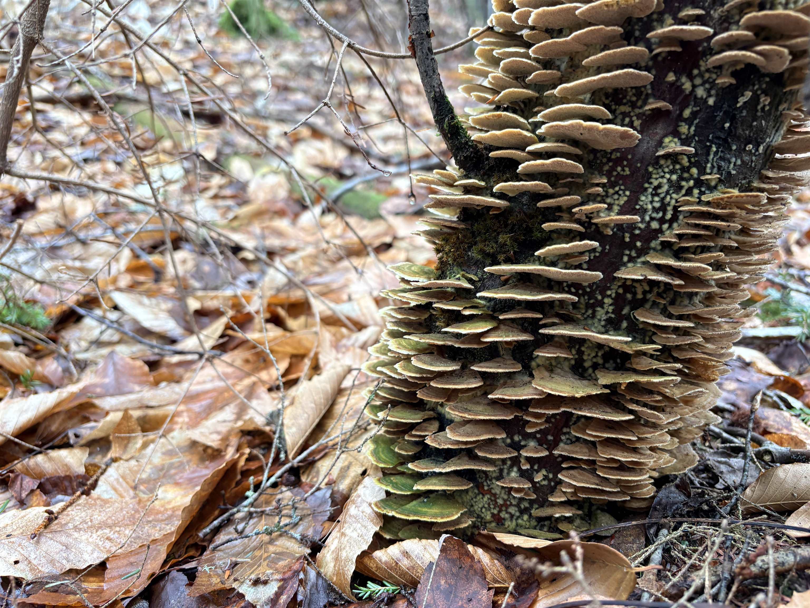 142 King Pond Road Woodbury, VT 05650 - Photo 58 of 60