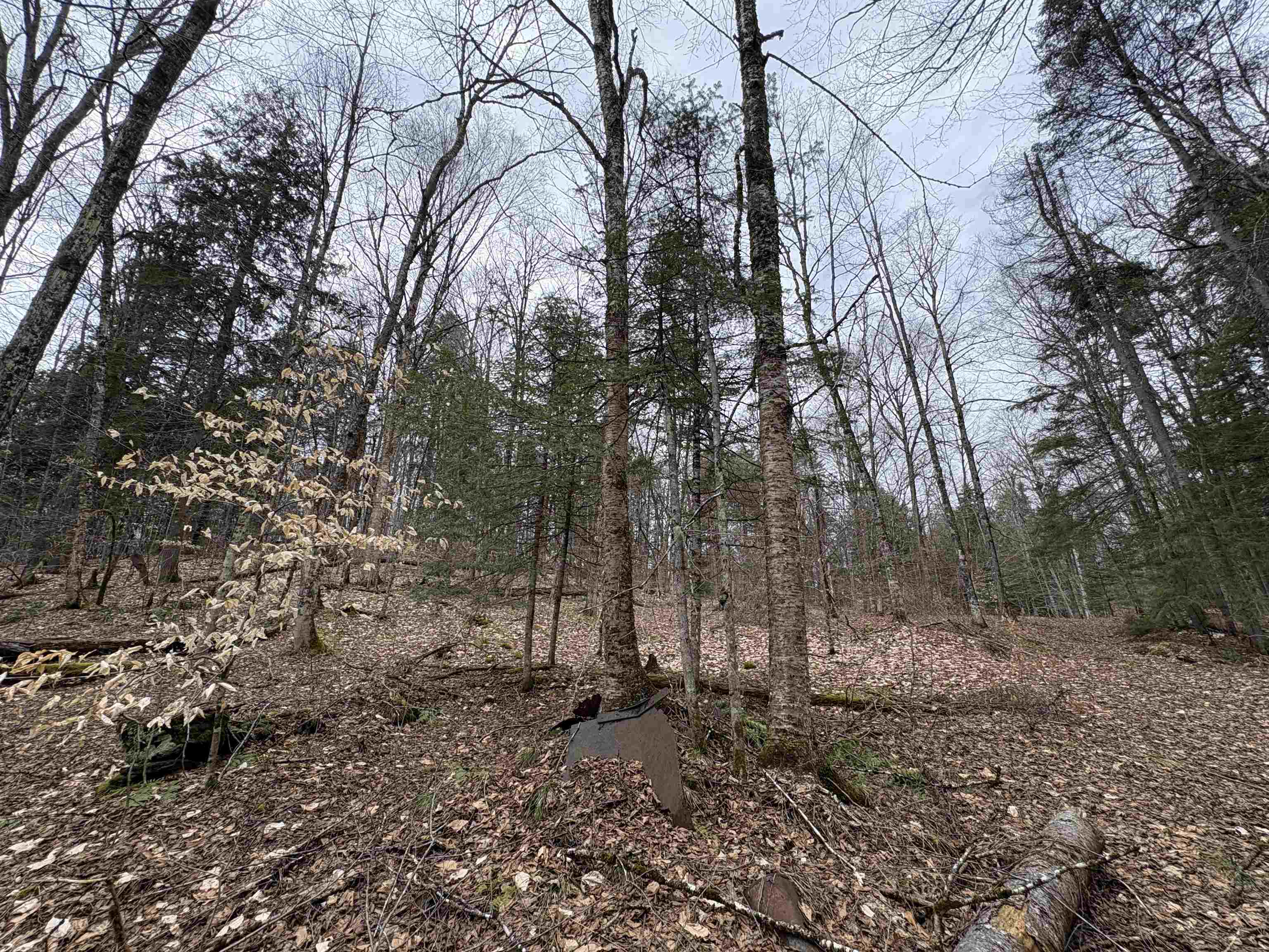 142 King Pond Road Woodbury, VT 05650 - Photo 60 of 60