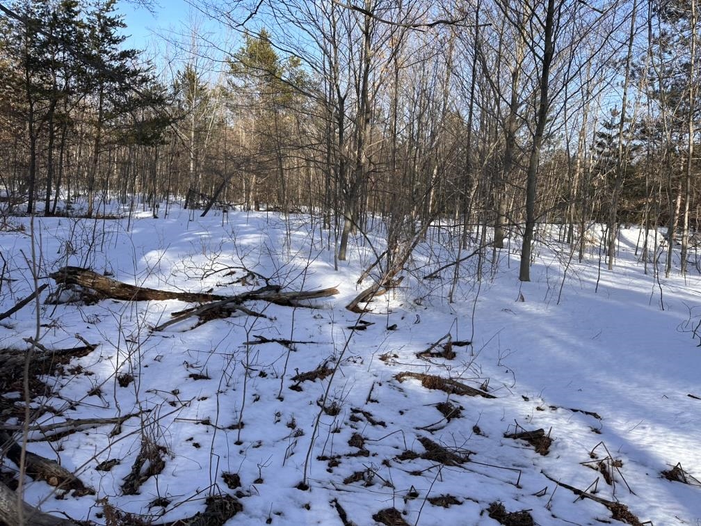 Lot F Betsie River Road, Unit LOT: F Interlochen, MI 49643 - Photo 4 of 6