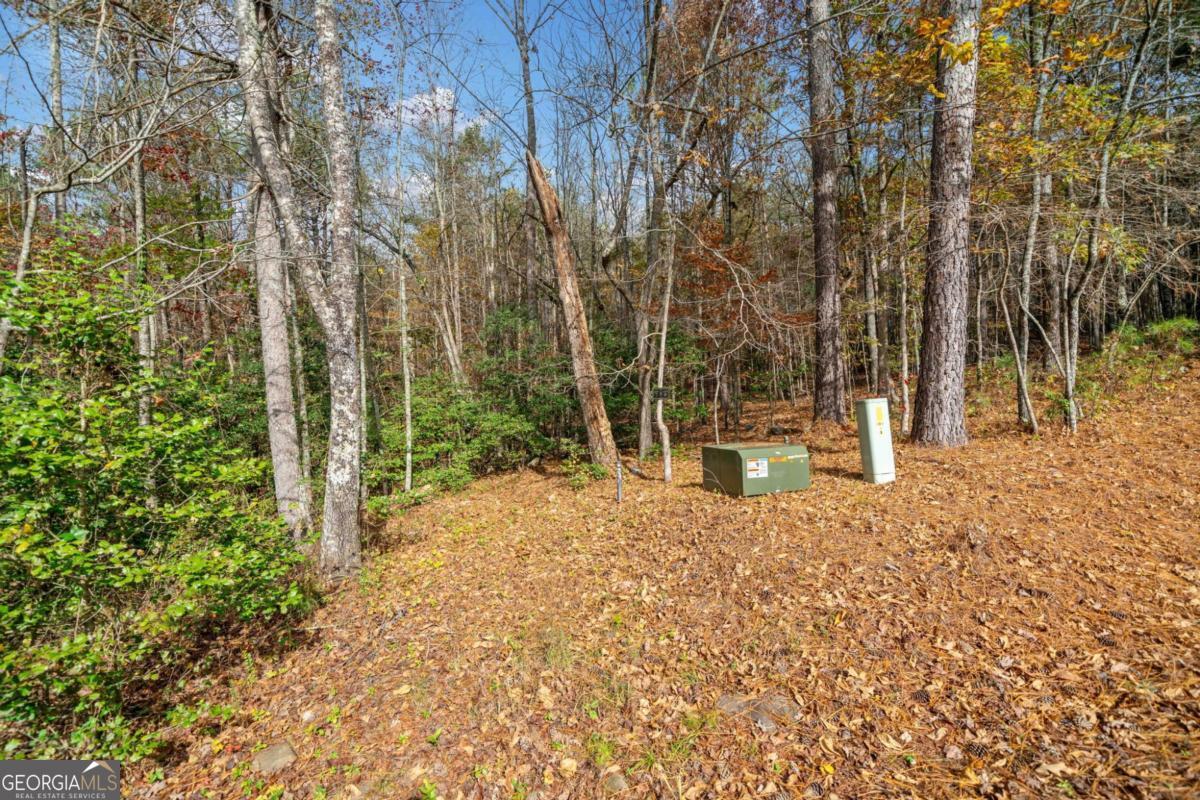 Lot 7 Highpoint Ridge Road, Unit 7 Ellijay, GA 30536 - Photo 11 of 29 a view of a trees with yard