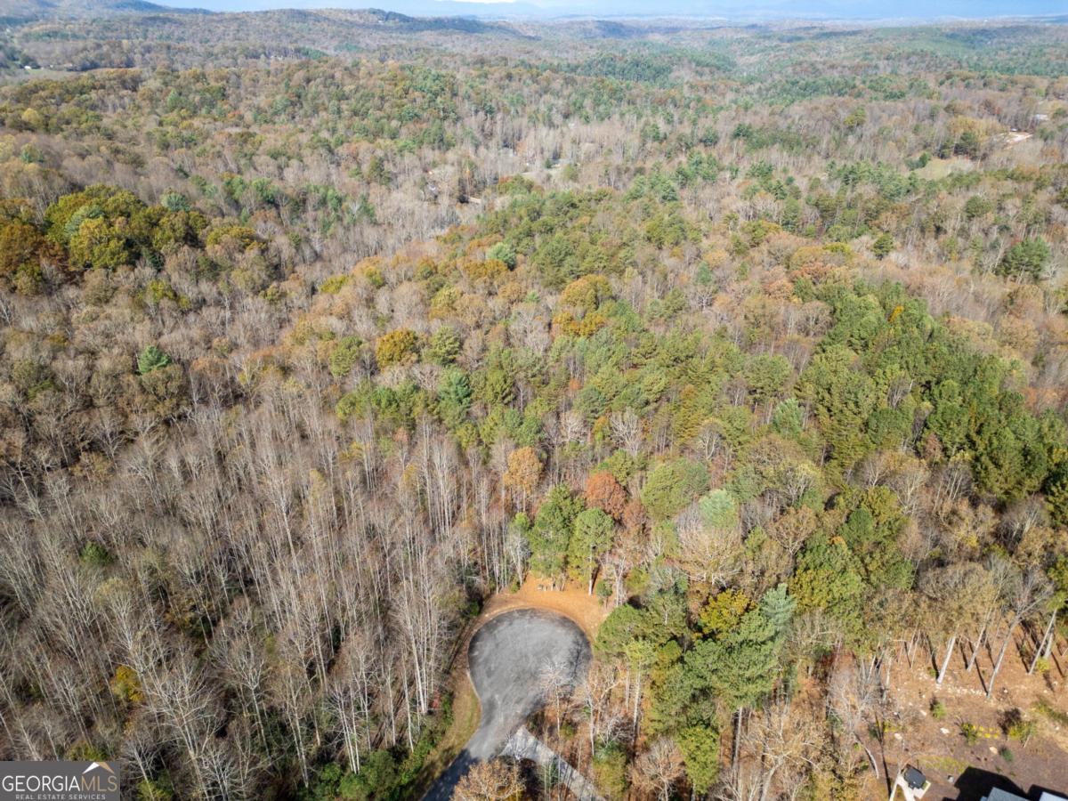 Lot 7 Highpoint Ridge Road, Unit 7 Ellijay, GA 30536 - Photo 14 of 29 a view of a yard