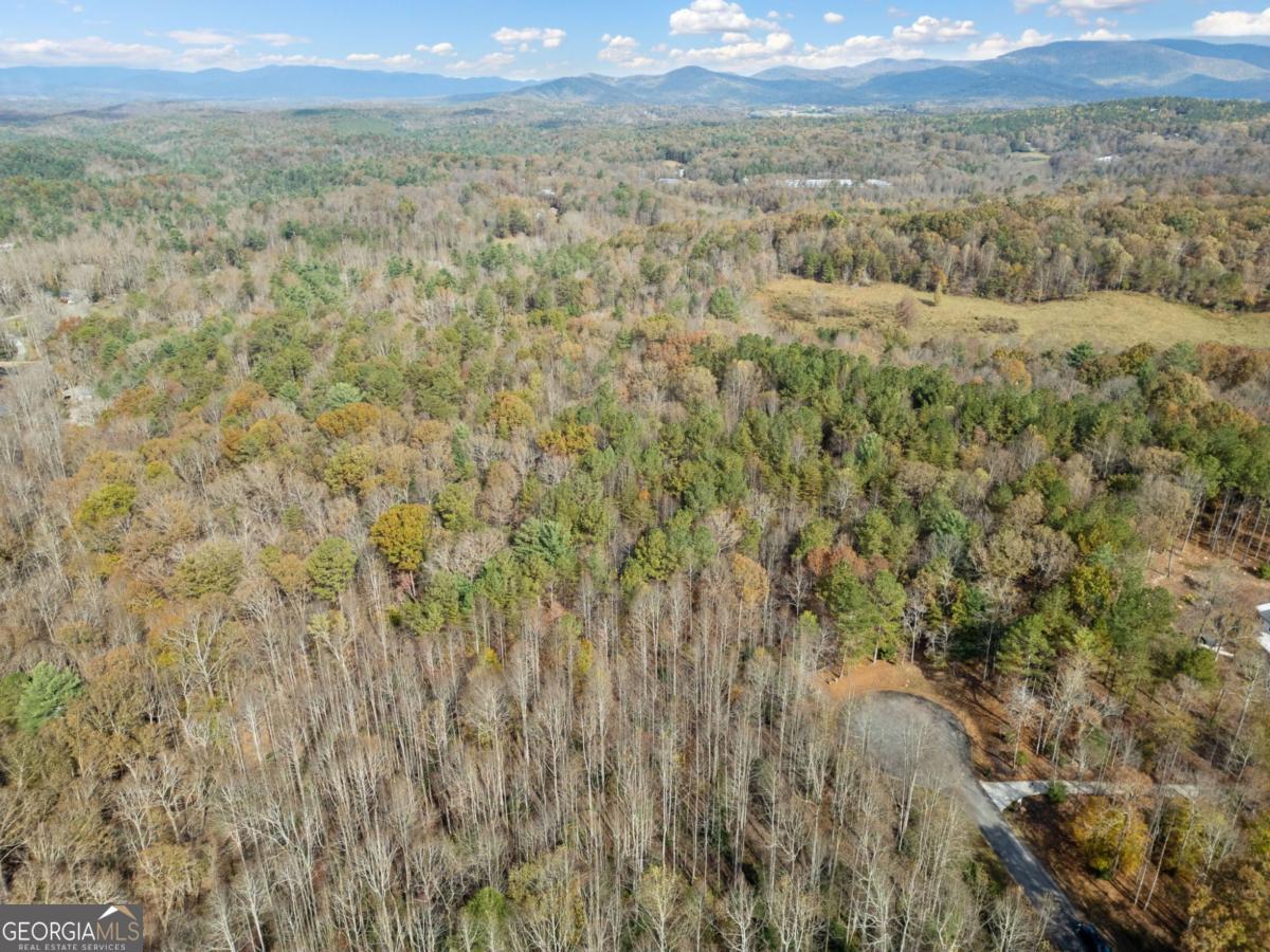 Lot 7 Highpoint Ridge Road, Unit 7 Ellijay, GA 30536 - Photo 17 of 29 a view of a field