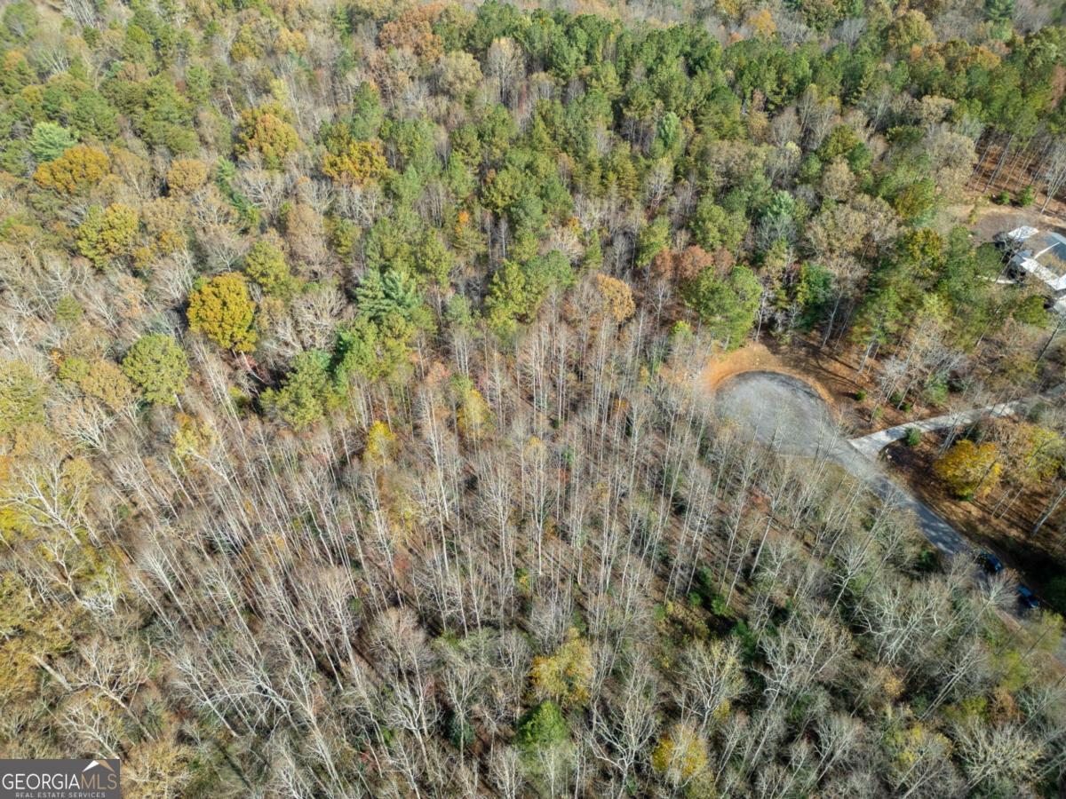 Lot 7 Highpoint Ridge Road, Unit 7 Ellijay, GA 30536 - Photo 18 of 29 a view of a yard