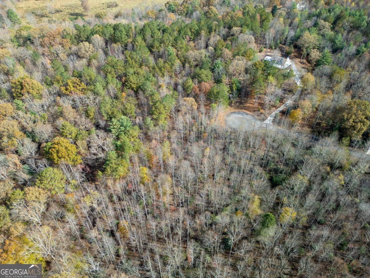 Lot 7 Highpoint Ridge Road, Unit 7 Ellijay, GA 30536 - Photo 19 of 29 a view of a forest with a tree