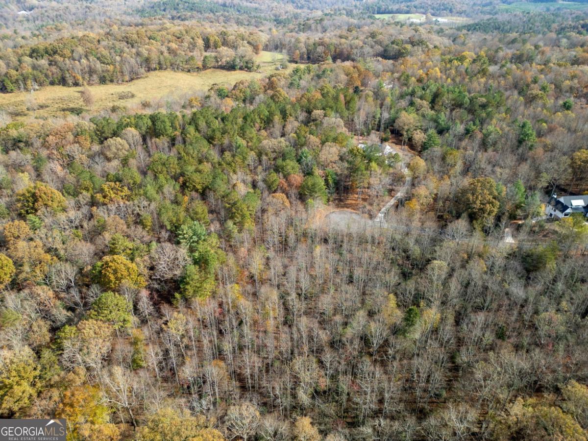 Lot 7 Highpoint Ridge Road, Unit 7 Ellijay, GA 30536 - Photo 21 of 29 a view of a forest with a houses